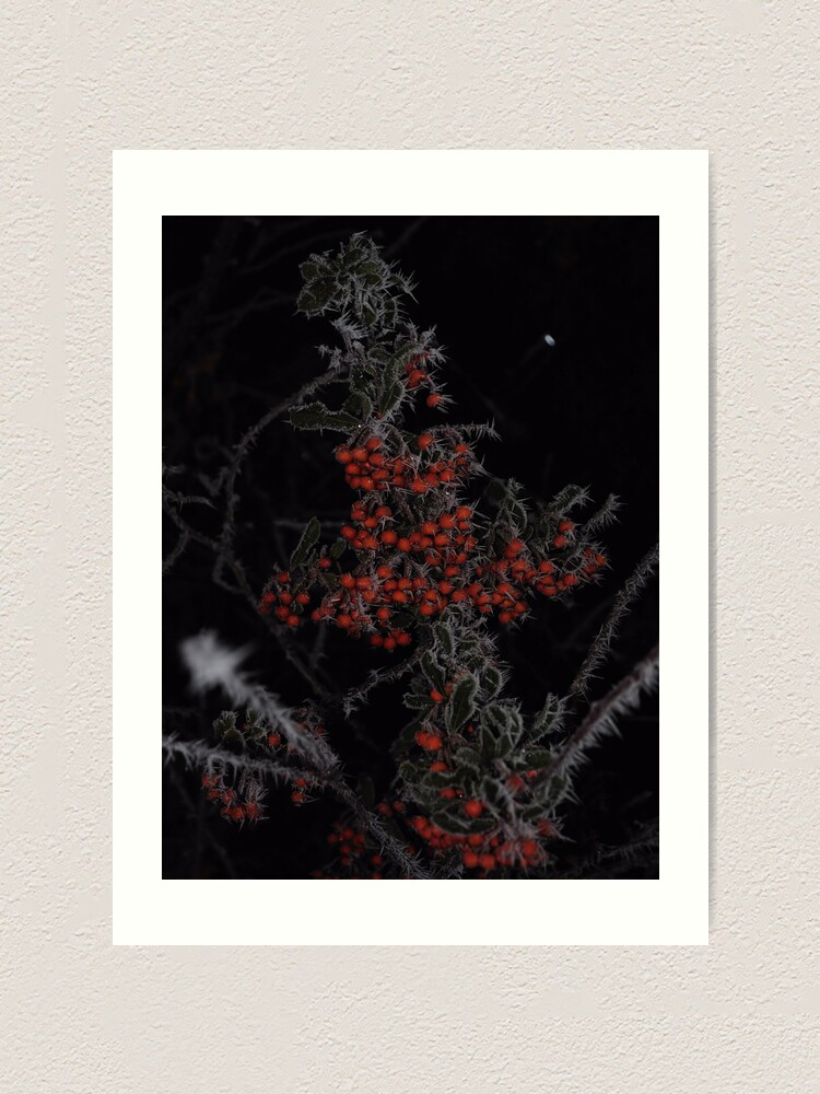 Alternate view of Frozen Berries Art Print