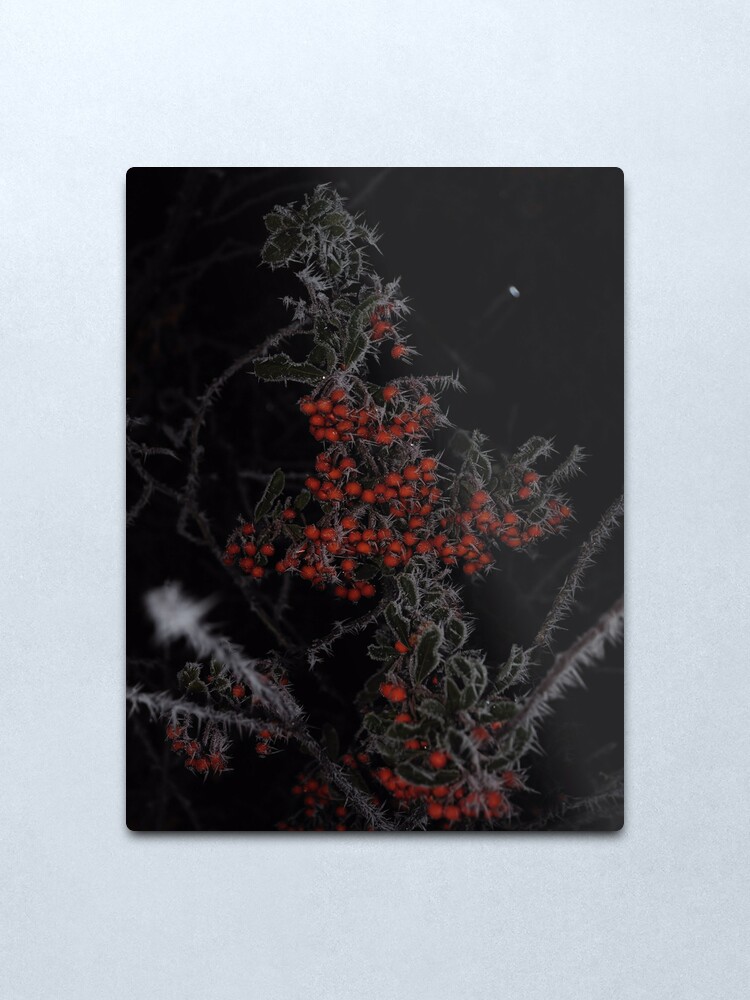 Alternate view of Frozen Berries Metal Print