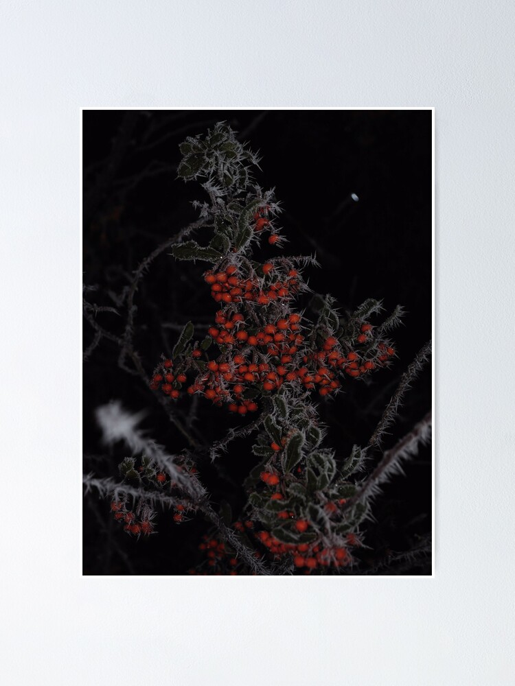 Alternate view of Frozen Berries Poster