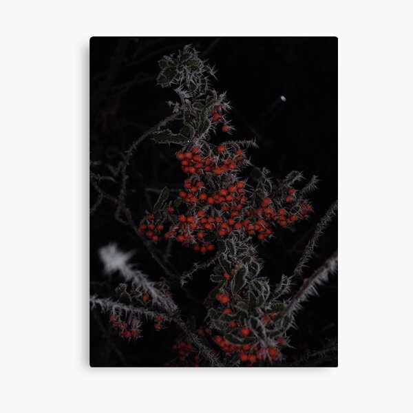 Canvas Print