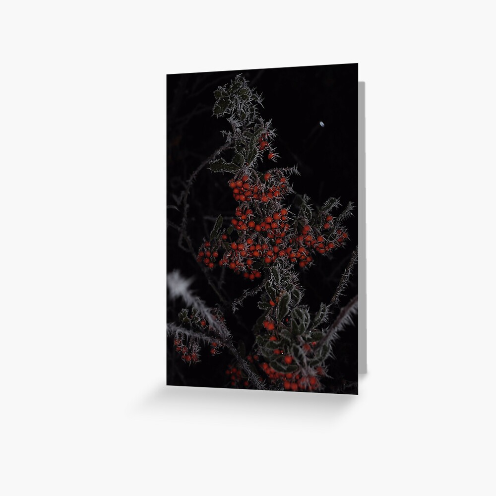 Item preview, Greeting Card designed and sold by pauleden.