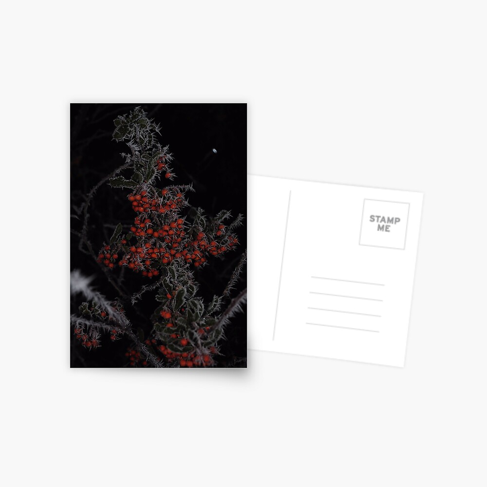 Item preview, Postcard designed and sold by pauleden.