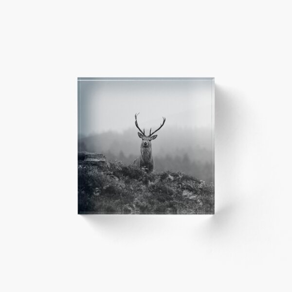 Item preview, Above the Mist designed and sold by Macrae images.