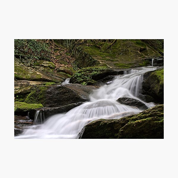 At Roaring Fork Falls Photographic Print
