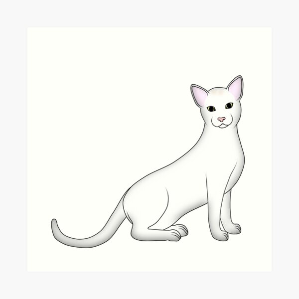 white cat 2 Art Print