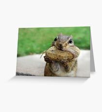 YUMMY!! Greeting Card