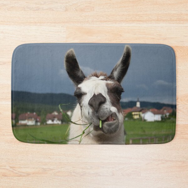 Item preview, Cool Llama designed and sold by Mythos57.