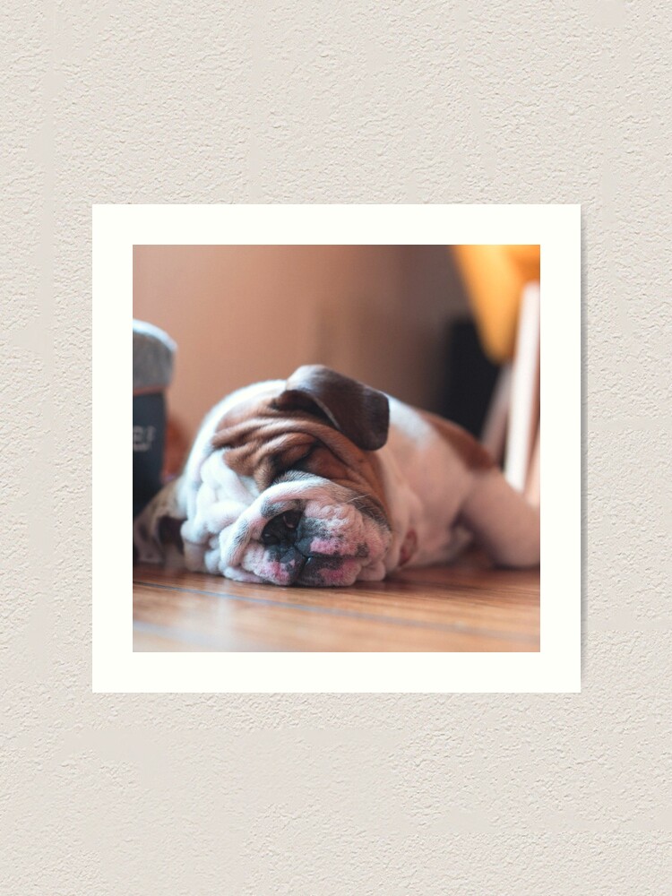 BULLDOG LITTLE GIRL BATHS DOG CHARMING PRINT GREETINGS NOTE CARD
