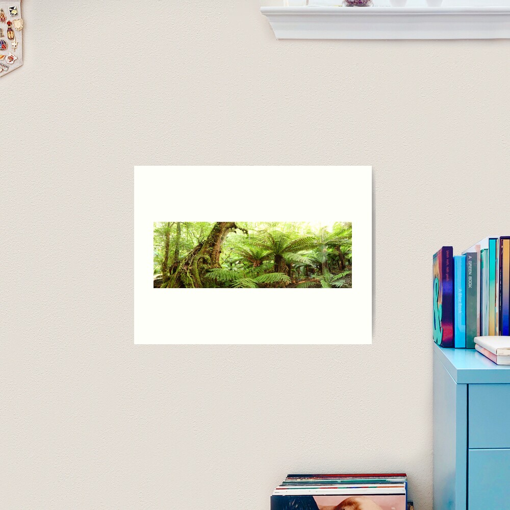 Myrtle Tree, Tarra Bulga National Park, Australia Art Print
