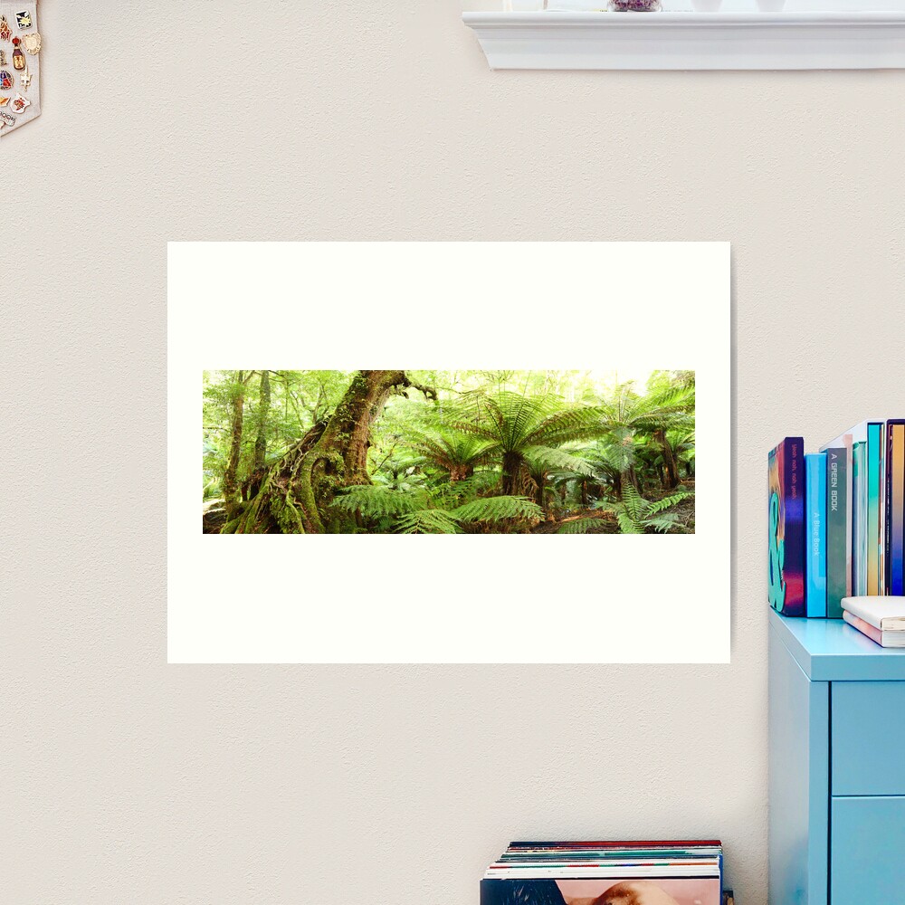 Myrtle Tree, Tarra Bulga National Park, Australia Art Print