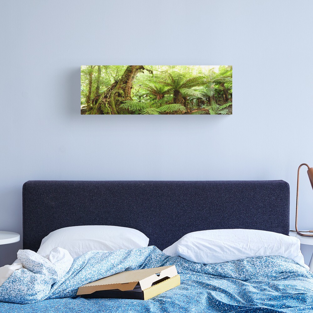 Myrtle Tree, Tarra Bulga National Park, Australia Canvas Print
