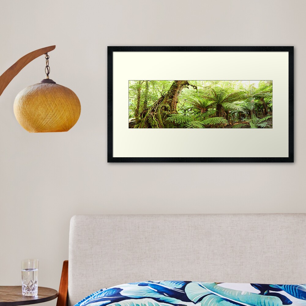 Myrtle Tree, Tarra Bulga National Park, Australia Framed Art Print