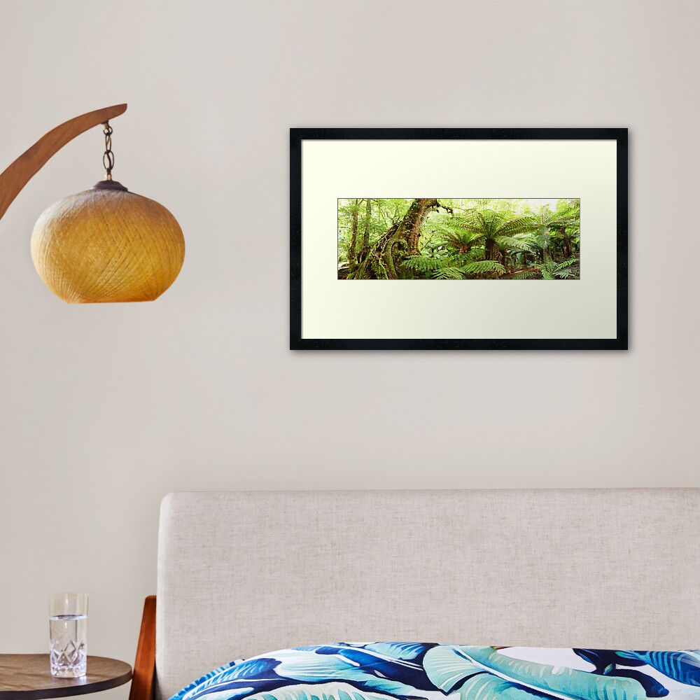 Myrtle Tree, Tarra Bulga National Park, Australia Framed Art Print