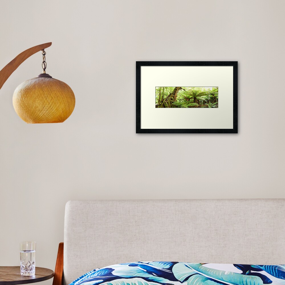 Myrtle Tree, Tarra Bulga National Park, Australia Framed Art Print