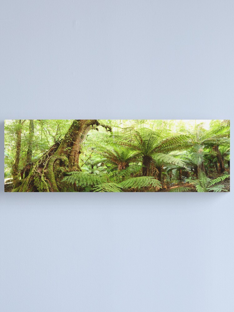 Alternate view of Myrtle Tree, Tarra Bulga National Park, Australia Canvas Print