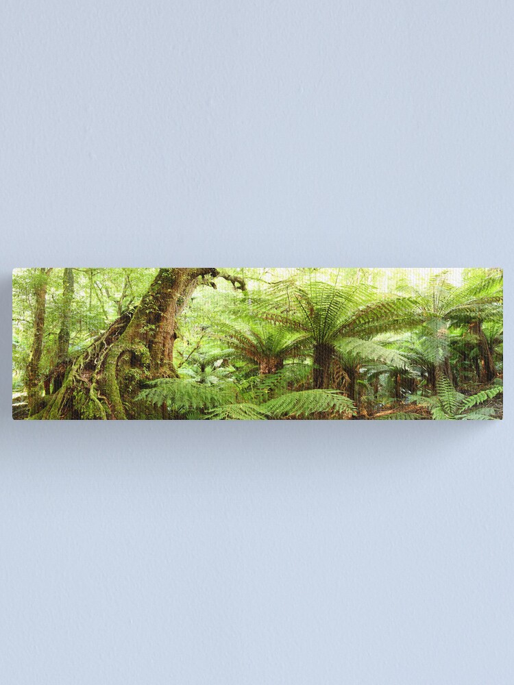 Alternate view of Myrtle Tree, Tarra Bulga National Park, Australia Canvas Print