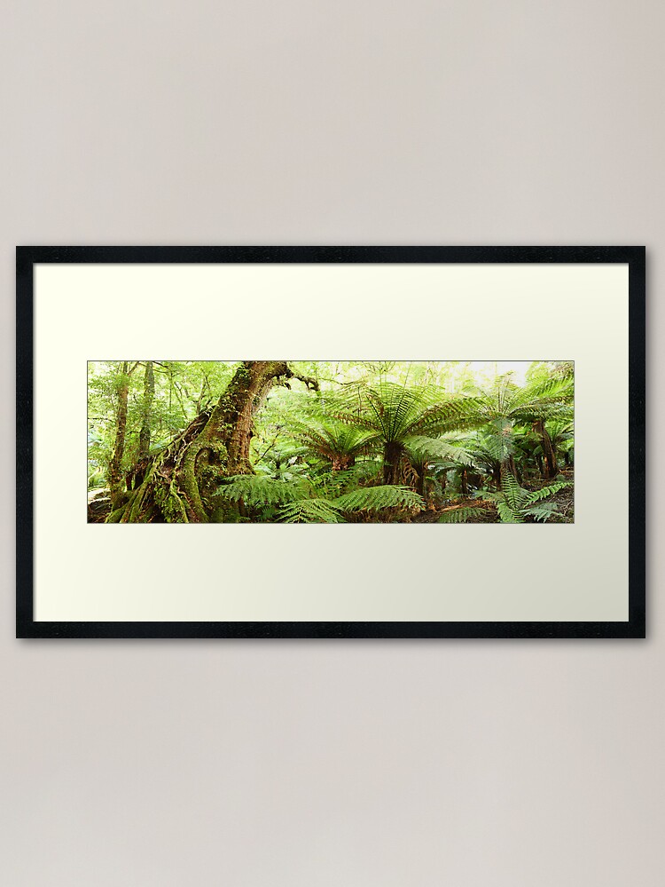 Alternate view of Myrtle Tree, Tarra Bulga National Park, Australia Framed Art Print