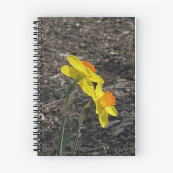 Item preview, Golden Daffodils designed and sold by David D. Shaw.