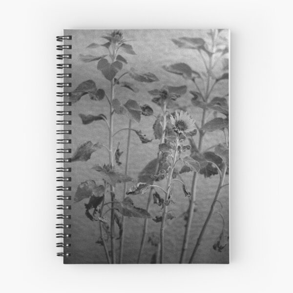 Item preview, Sunflowers designed and sold by James2001.