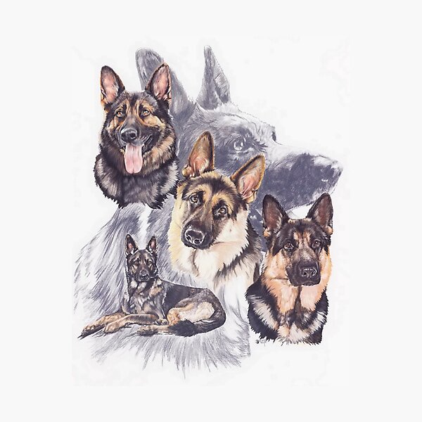 WWI RED CROSS ALSATION WAR DOGS /& SOLDIER DOG ART PAINTING REAL CANVAS PRINT
