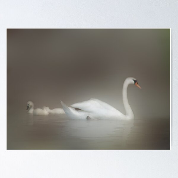 Item preview, Dreamy White Enchantment designed and sold by enchantedImages.