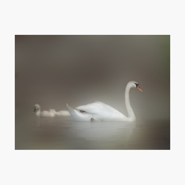 Artikelvorschau, Dreamy White Enchantment entworfen und verkauft von enchantedImages.