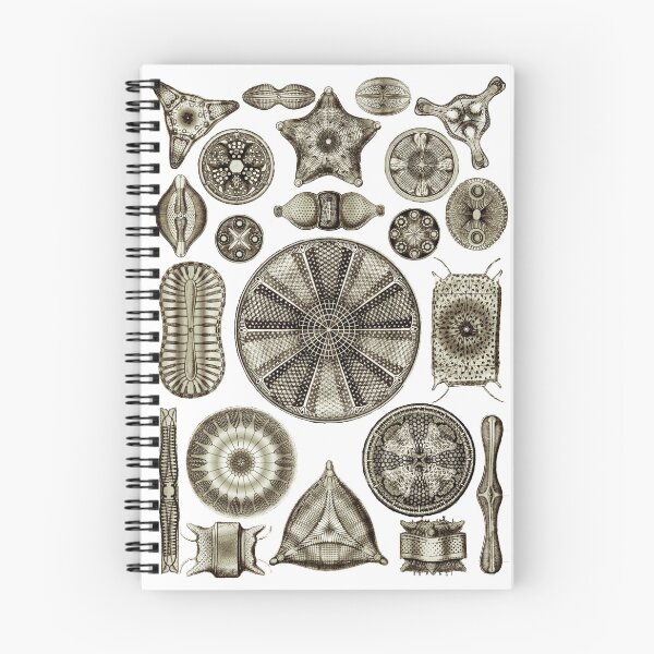 Item preview, Ernst Haeckel Diatoms Vintage Brown designed and sold by aimeewilson.