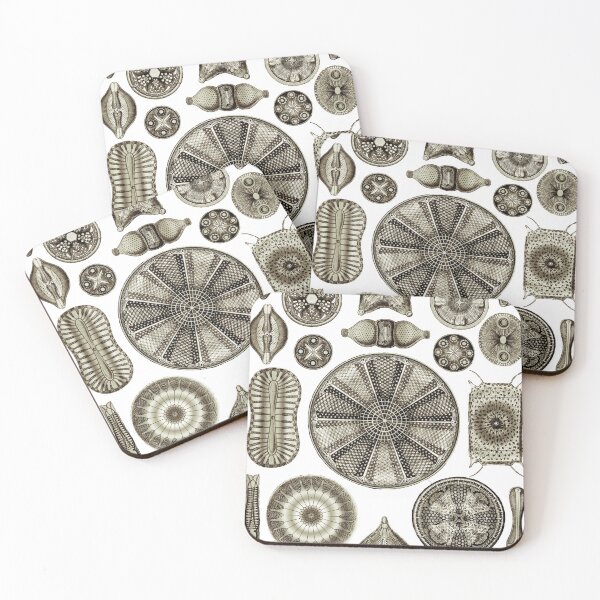 Item preview, Ernst Haeckel Diatoms Vintage Brown designed and sold by aimeewilson.