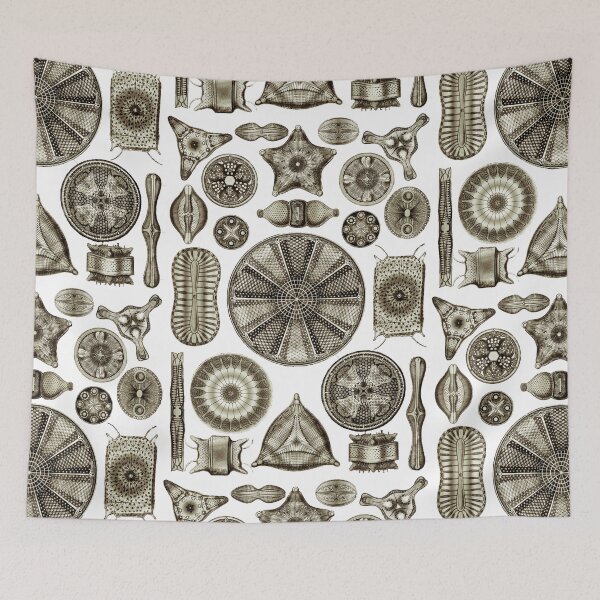 Item preview, Ernst Haeckel Diatoms Vintage Brown designed and sold by aimeewilson.
