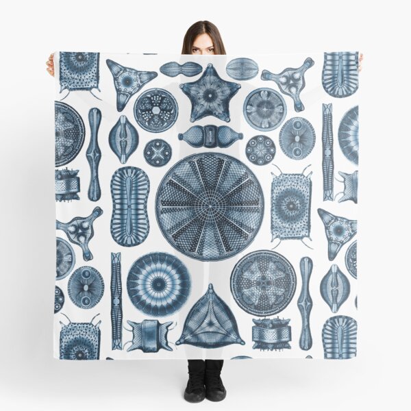Ernst Haeckel Diatoms Navy Blue Scarf