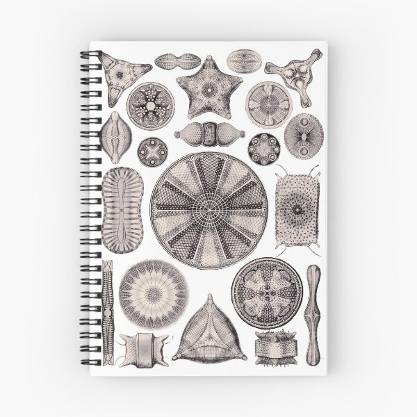 Item preview, Ernst Haeckel Diatoms Lavender Grey designed and sold by aimeewilson.