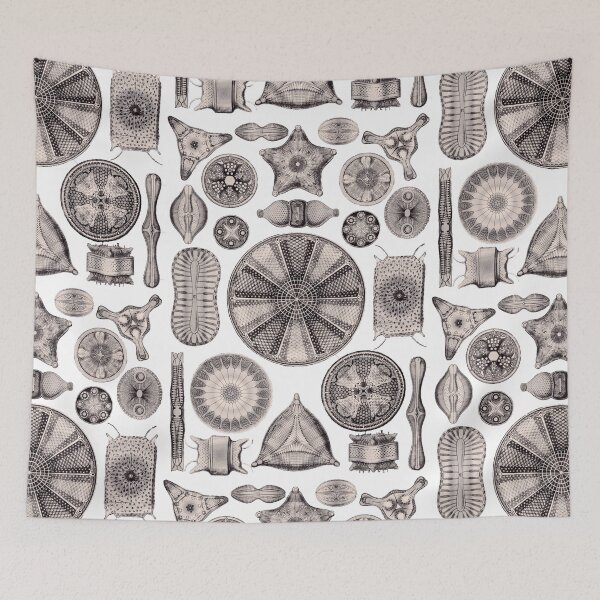 Item preview, Ernst Haeckel Diatoms Lavender Grey designed and sold by aimeewilson.