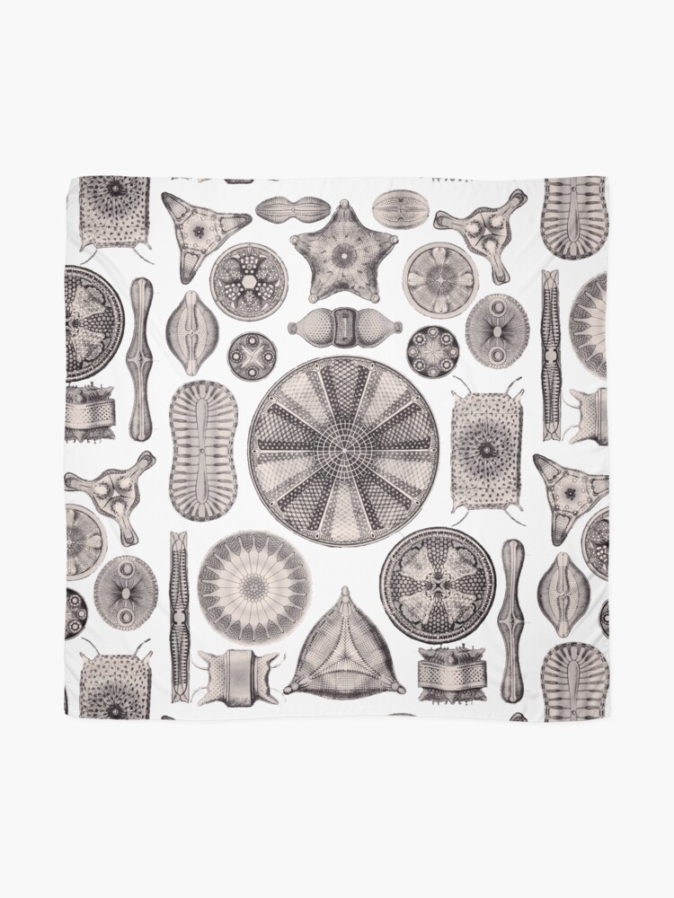 Alternate view of Ernst Haeckel Diatoms Lavender Grey Scarf
