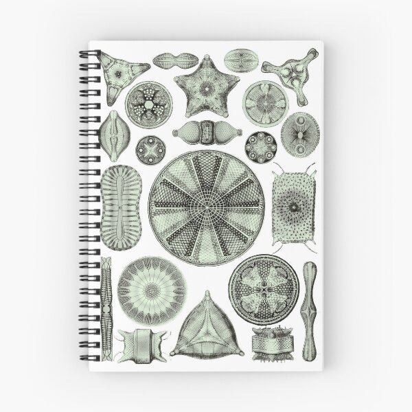 Item preview, Ernst Haeckel Diatoms Olive Green designed and sold by aimeewilson.