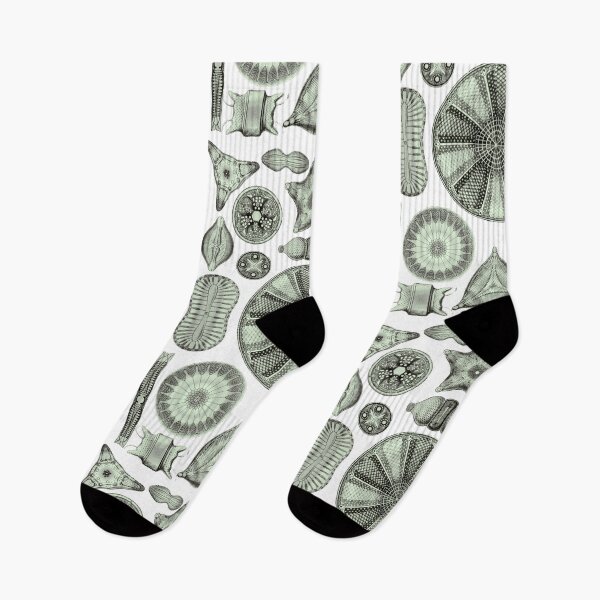 Item preview, Ernst Haeckel Diatoms Olive Green designed and sold by aimeewilson.