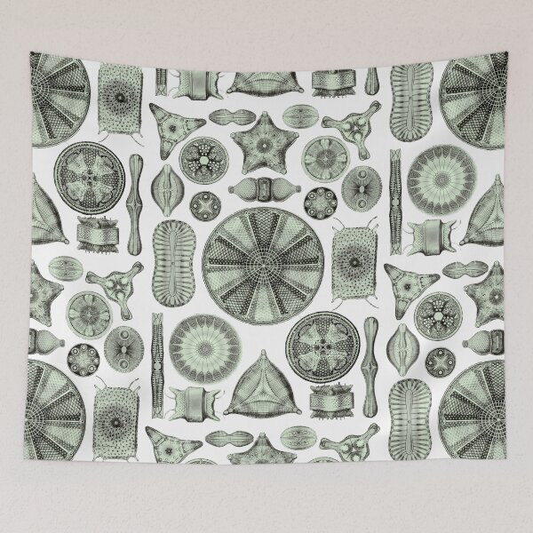 Item preview, Ernst Haeckel Diatoms Olive Green designed and sold by aimeewilson.