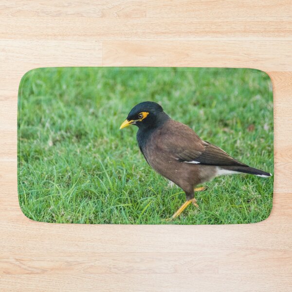 Item preview, Common Myna designed and sold by KensLensDesigns.