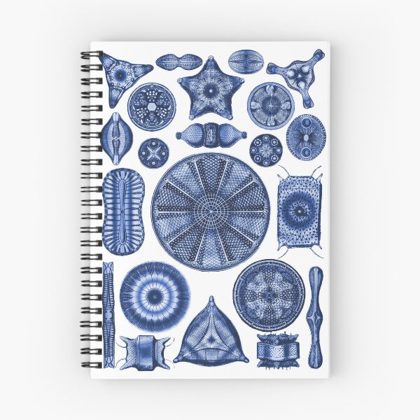 Item preview, Ernst Haeckel Diatoms Indigo Blue designed and sold by aimeewilson.