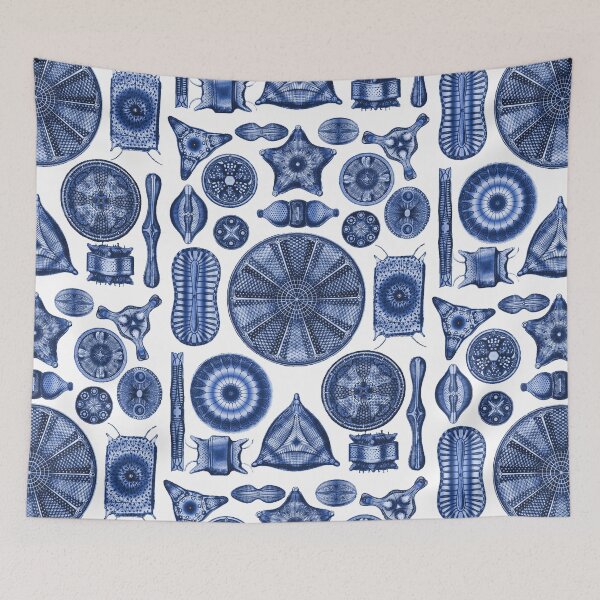 Item preview, Ernst Haeckel Diatoms Indigo Blue designed and sold by aimeewilson.