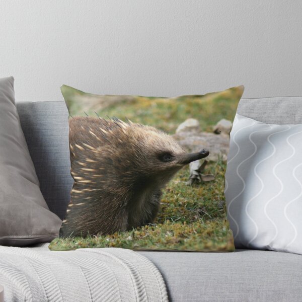 Item preview, Echidna designed and sold by inthewild.