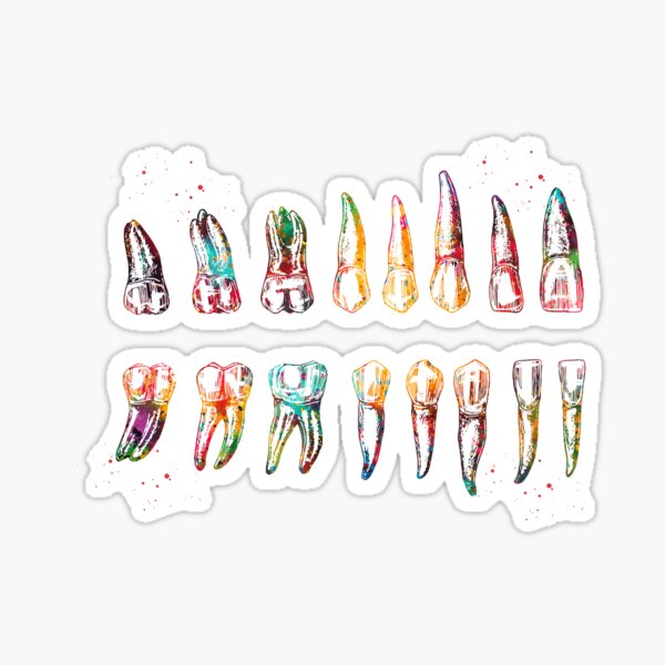 Item preview, Teeth Diagram designed and sold by Liededrom..