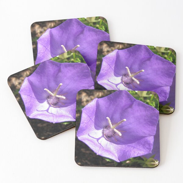 Item preview, Pretty-in-Purple Canterbury Bell designed and sold by BlueMoonRose.