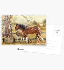 Farmyard Friends Postcards