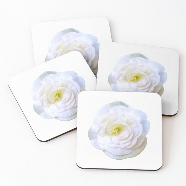 Item preview, Delicate white rose designed and sold by colouroz.