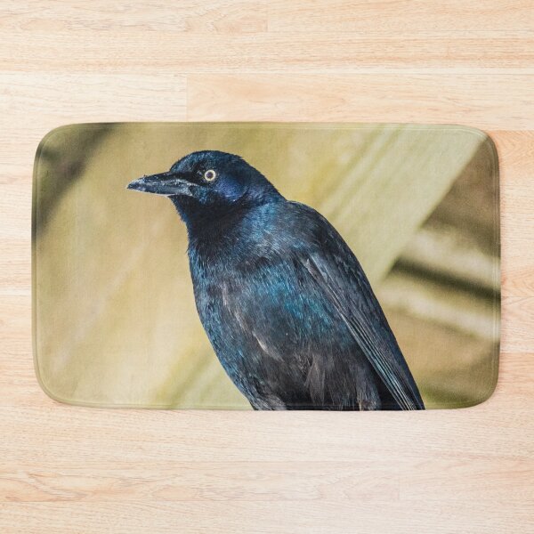 Item preview,  Boat-tailed Grackle designed and sold by KensLensDesigns.