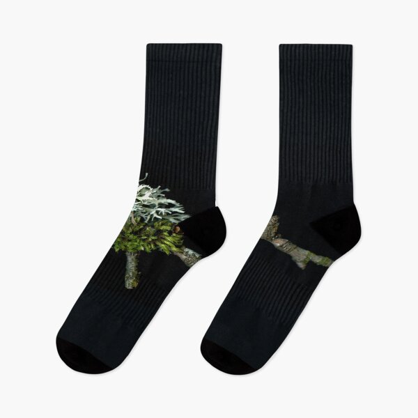 Item preview, The horizontal mossy twig designed and sold by Gabriele Maurus.