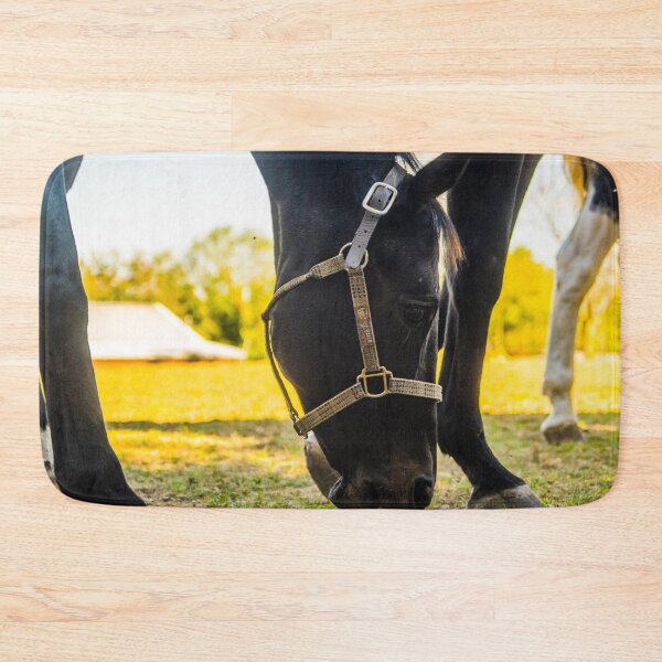 Item preview, I am so cool designed and sold by KensLensDesigns.