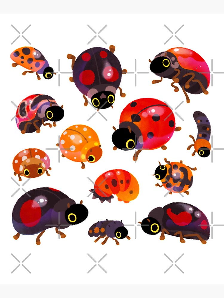 Lady beetles by pikaole