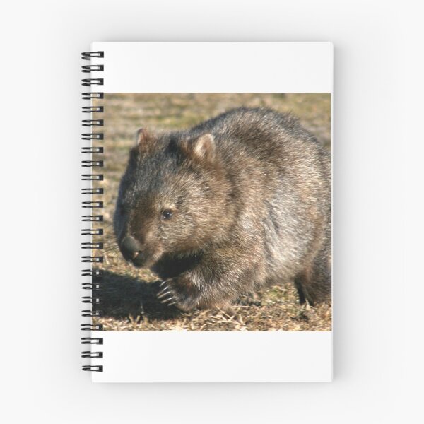 Item preview, Speedy (Common Wombat) designed and sold by inthewild.