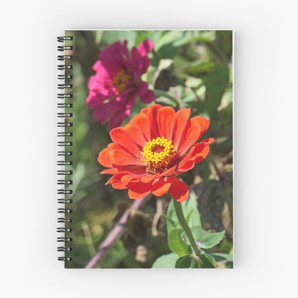 Item preview, Orange Zinnia designed and sold by Peggy Feigenbaum.